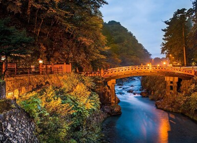 โตเกียว: ทัวร์ส่วนตัว Nikko หนึ่งวันพร้อมคนขับที่พูดภาษาอังกฤษได้