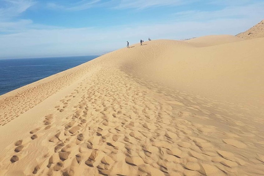 Picture 13 for Activity From Agadir: Souss-Massa National Park Tour with Lunch