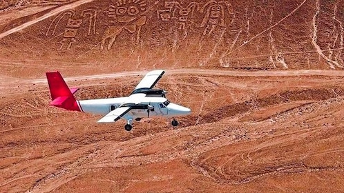 Desde Lima: Excursión de 3 días a Paracas, Huacachina y las Líneas de Nazca