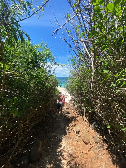 Picture 10 for Activity Playa Venao: Island Snorkelling Tour