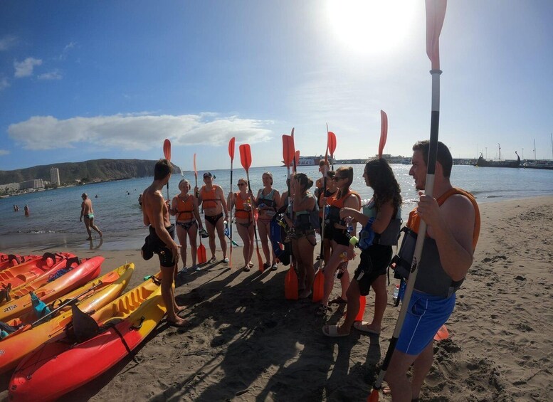 Picture 9 for Activity Tenerife: Kayak Safari with Snorkeling in a Turtle Habitat