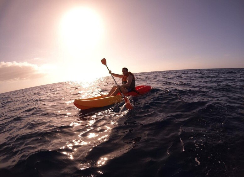 Picture 12 for Activity Tenerife: Kayak Safari with Snorkeling in a Turtle Habitat