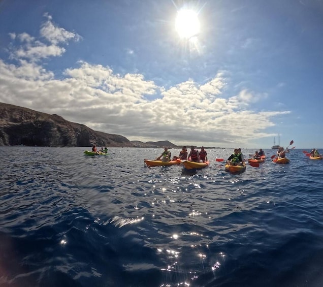 Picture 23 for Activity Tenerife: Kayak Safari with Snorkeling in a Turtle Habitat