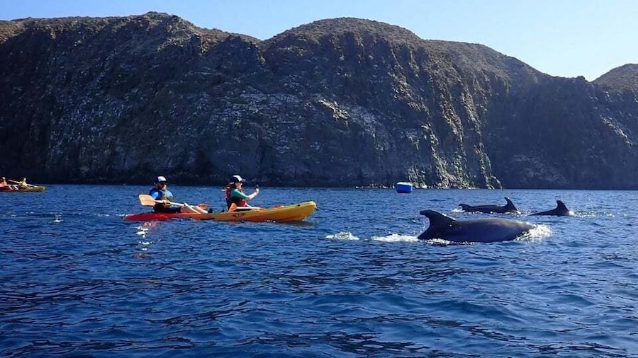 Picture 1 for Activity Tenerife: Kayak Safari with Snorkeling in a Turtle Habitat