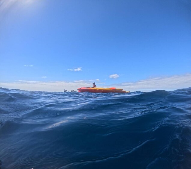 Picture 22 for Activity Tenerife: Kayak Safari with Snorkeling in a Turtle Habitat