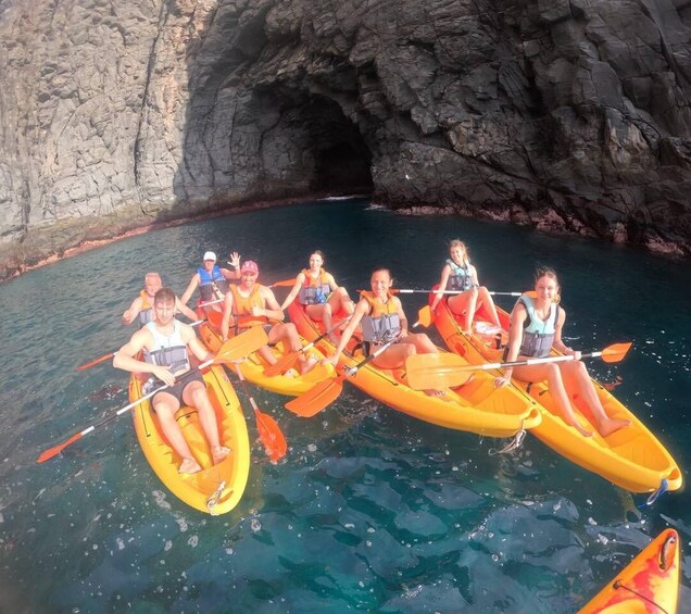 Picture 14 for Activity Tenerife: Kayak Safari with Snorkeling in a Turtle Habitat