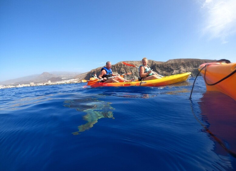 Picture 5 for Activity Tenerife: Kayak Safari with Snorkeling in a Turtle Habitat