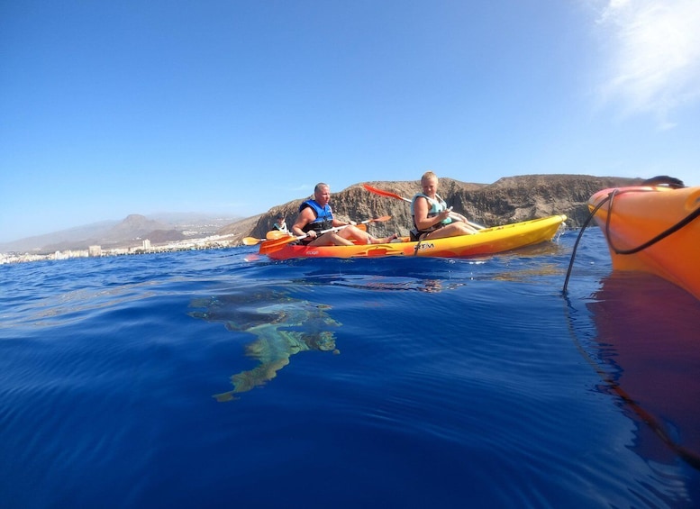 Picture 5 for Activity Tenerife: Kayak Safari with Snorkeling in a Turtle Habitat