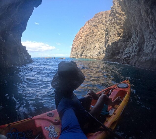 Picture 11 for Activity Tenerife: Kayak Safari with Snorkeling in a Turtle Habitat