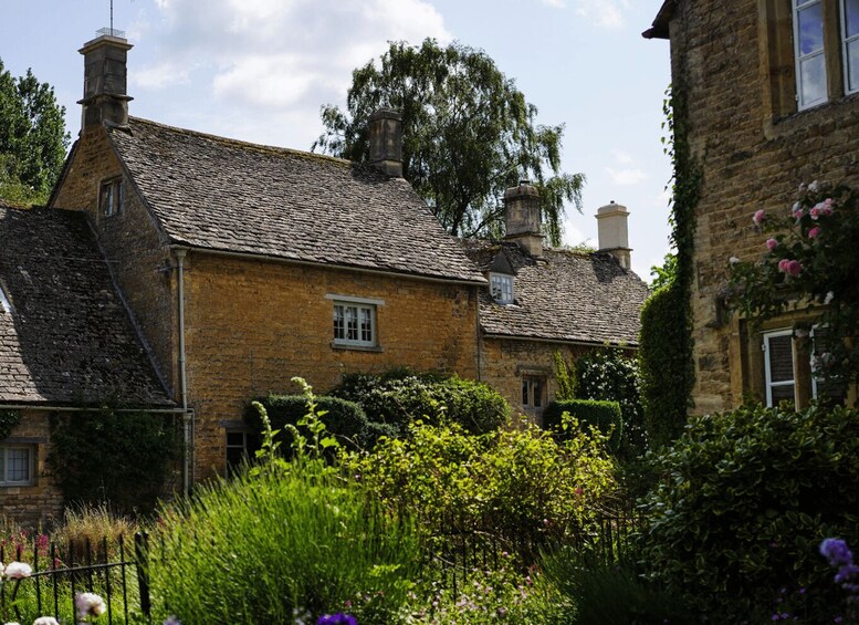 Picture 11 for Activity From London: Oxford, Cotswolds & Country Pub Lunch