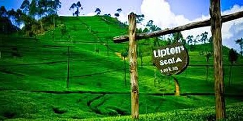 Lipton's Seat and Tea Factory & Tea Plantation Tagestour