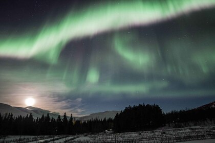 Akureyri: excursión de un día a la aurora boreal en 4X4