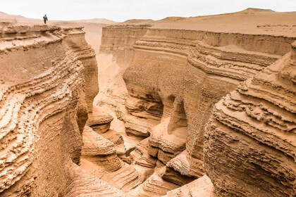 Desde Ica || Excursión de día completo al cañón de Los Perdidos ||