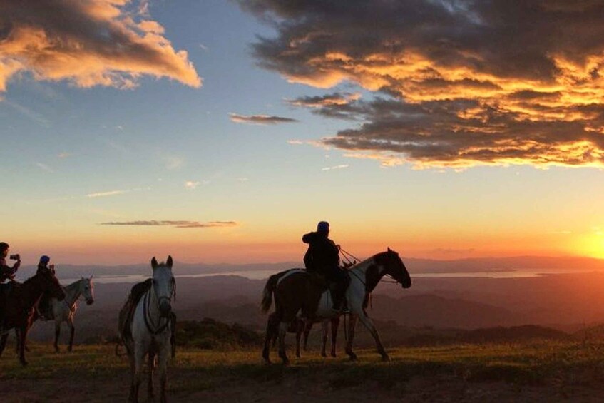 Picture 4 for Activity Monteverde: Horseback Riding Tour