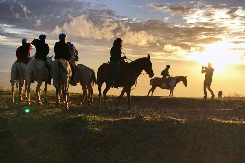 Picture 5 for Activity Monteverde: Horseback Riding Tour