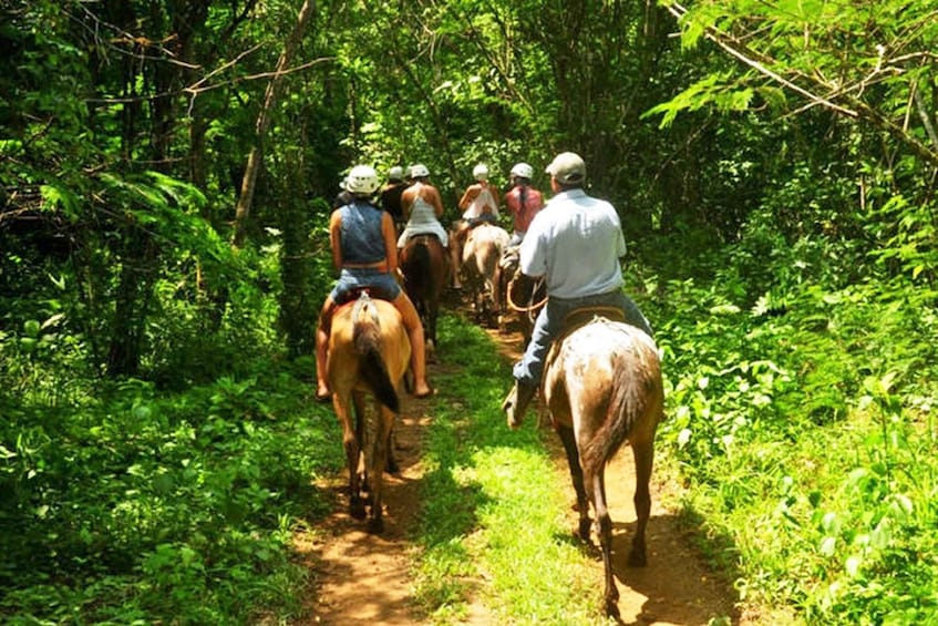 Picture 6 for Activity Monteverde: Horseback Riding Tour
