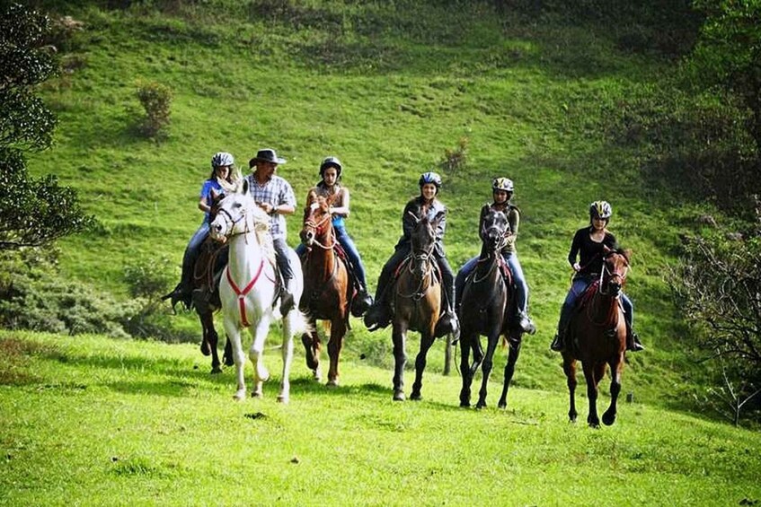 Picture 2 for Activity Monteverde: Horseback Riding Tour