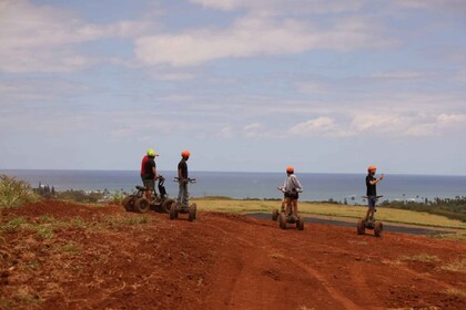 Oahu, Haleiwa: Da Mongoose EzRaider 1.5 hour quad bike Adventure