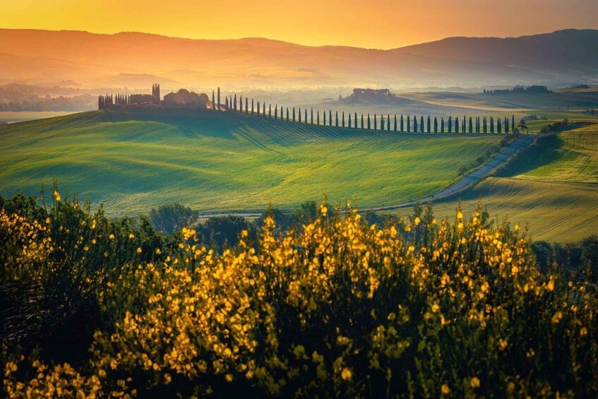 Picture 2 for Activity Full-Day Private Wine Tour in Montalcino