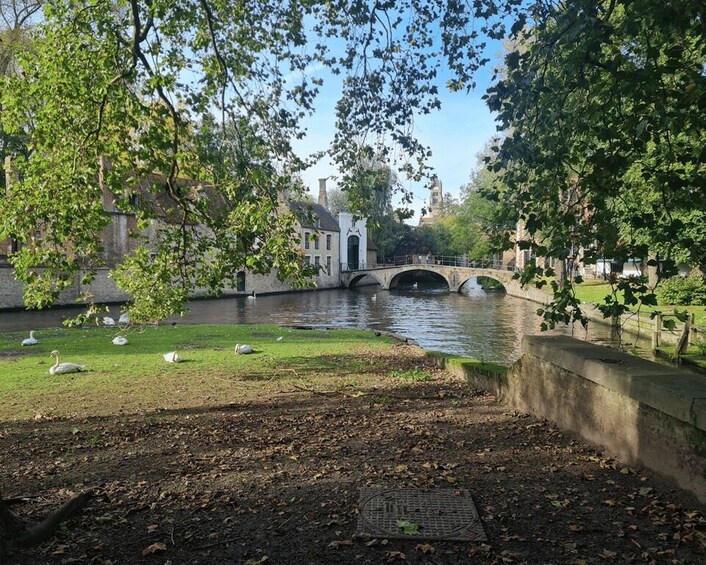 Bruges through the eyes of a local, small group