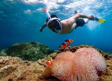 Pattaya: Nemo Island Experience Drone-kuvilla ja lounaalla.