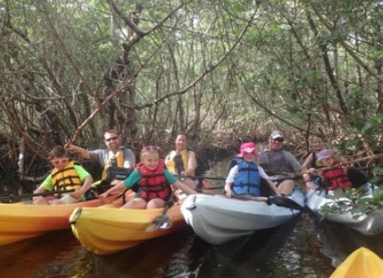 Picture 3 for Activity Fort Myers: Guided Kayaking Eco Tour in Pelican Bay