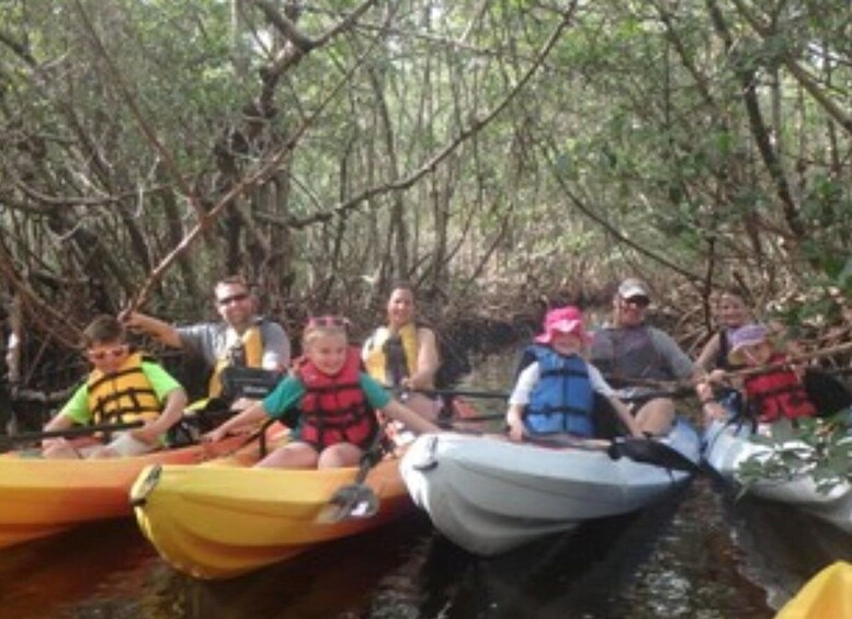 Picture 3 for Activity Fort Myers: Guided Kayaking Eco Tour in Pelican Bay