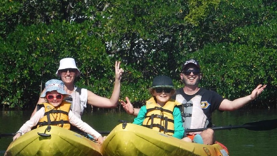 Fort Myers: Guided Kayaking Eco Tour in Pelican Bay