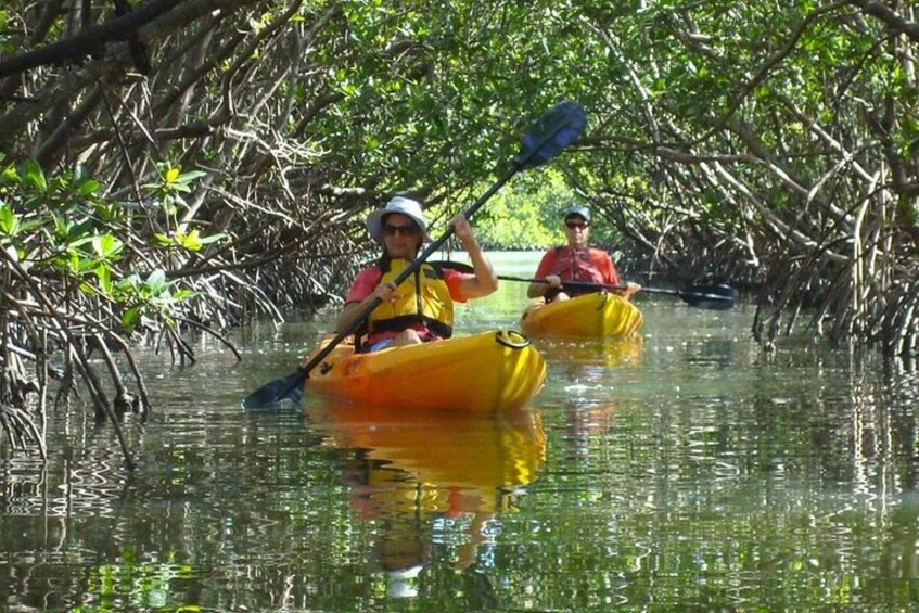 Picture 2 for Activity Fort Myers: Guided Kayaking Eco Tour in Pelican Bay