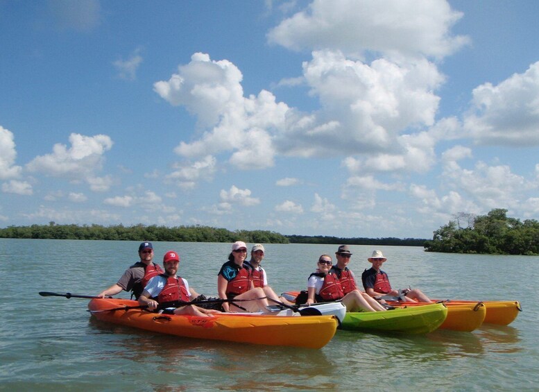 Picture 5 for Activity Fort Myers: Guided Kayaking Eco Tour in Pelican Bay