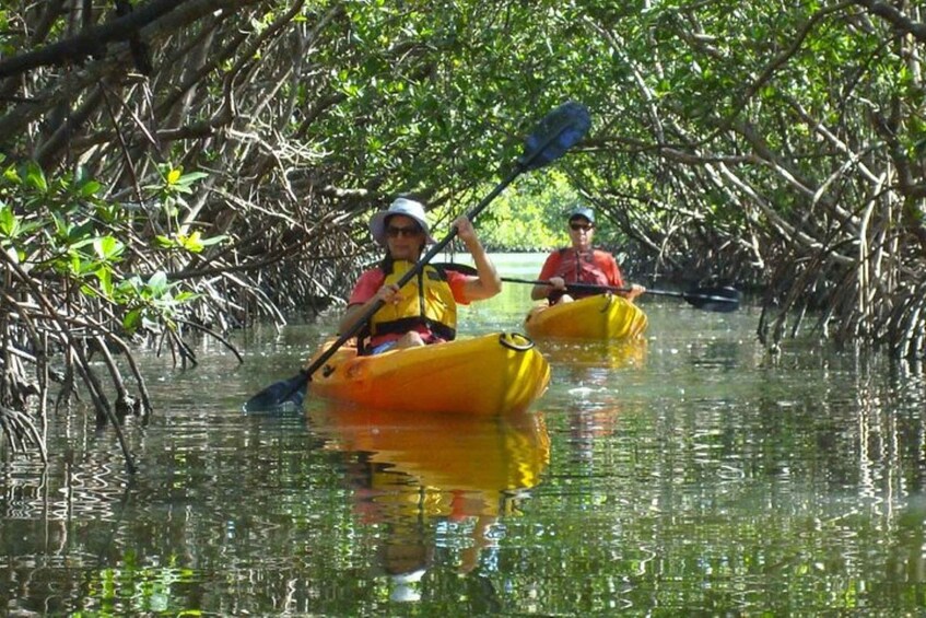 Picture 2 for Activity Fort Myers: Guided Kayaking Eco Tour in Pelican Bay