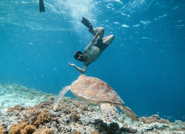 Picture 7 for Activity From Gili Trawangan: Private Snorkeling and GoPro Camera