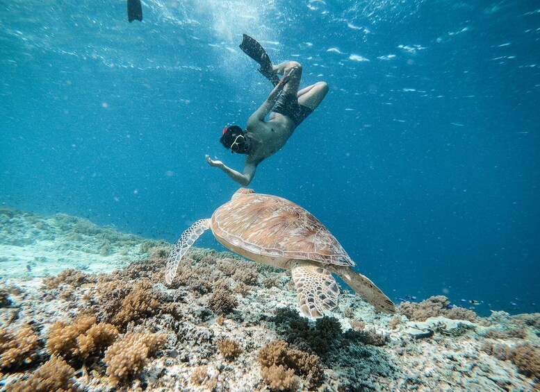 Picture 7 for Activity From Gili Trawangan: Private Snorkeling and GoPro Camera