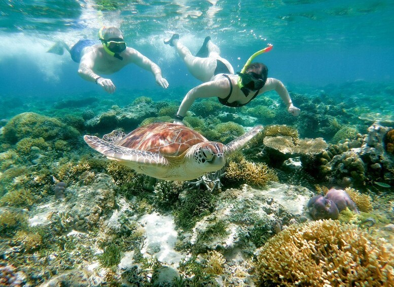 Picture 6 for Activity From Gili Trawangan: Private Snorkeling and GoPro Camera