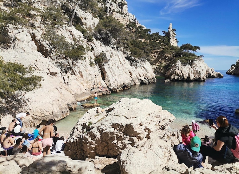 Picture 7 for Activity Marseille: Calanques National Park Guided Hike with Picnic