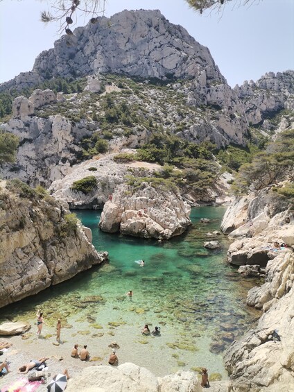 Picture 2 for Activity Marseille: Calanques National Park Guided Hike with Picnic