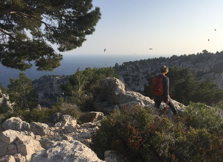 Picture 41 for Activity Marseille: Calanques National Park Guided Hike with Picnic