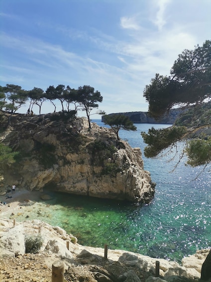 Picture 12 for Activity Marseille: Calanques National Park Guided Hike with Picnic