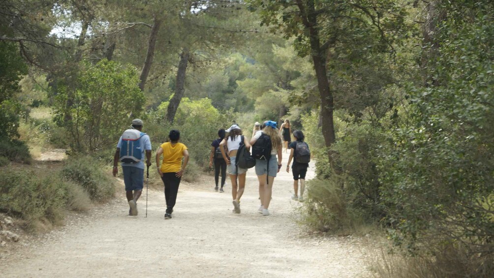 Picture 5 for Activity Marseille: Calanques National Park Guided Hike with Picnic