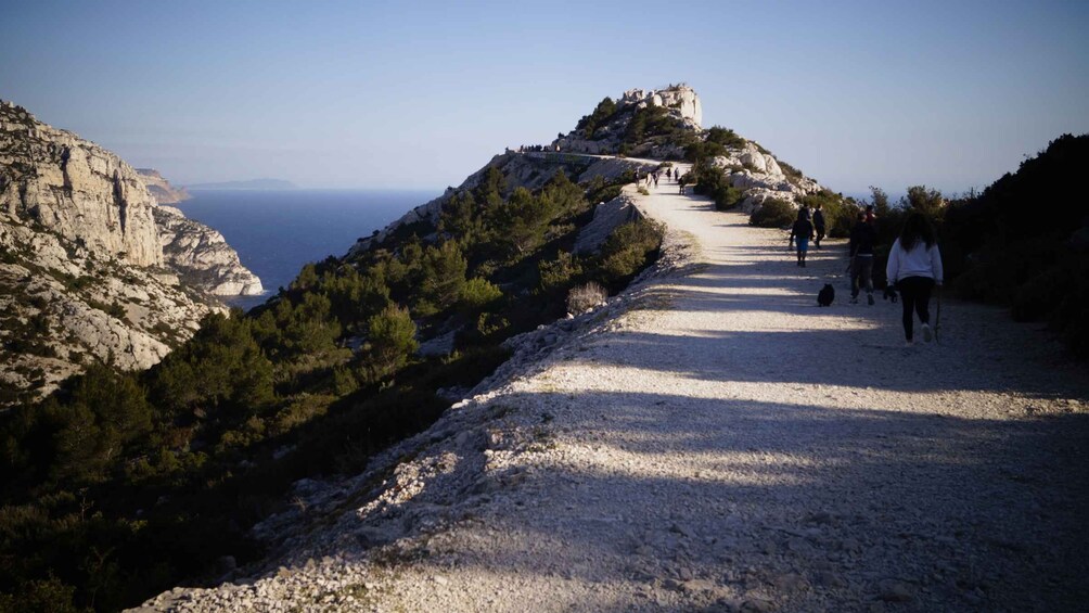 Picture 26 for Activity Marseille: Calanques National Park Guided Hike with Picnic