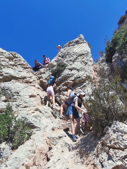 Picture 30 for Activity Marseille: Calanques National Park Guided Hike with Picnic