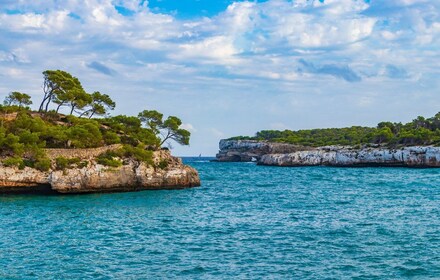 Mallorca: Cala Mondragó Natural Park Jetski Tour