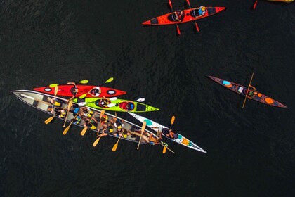 Desde Vaxholm: gran aventura en canoa por el archipiélago de Estocolmo