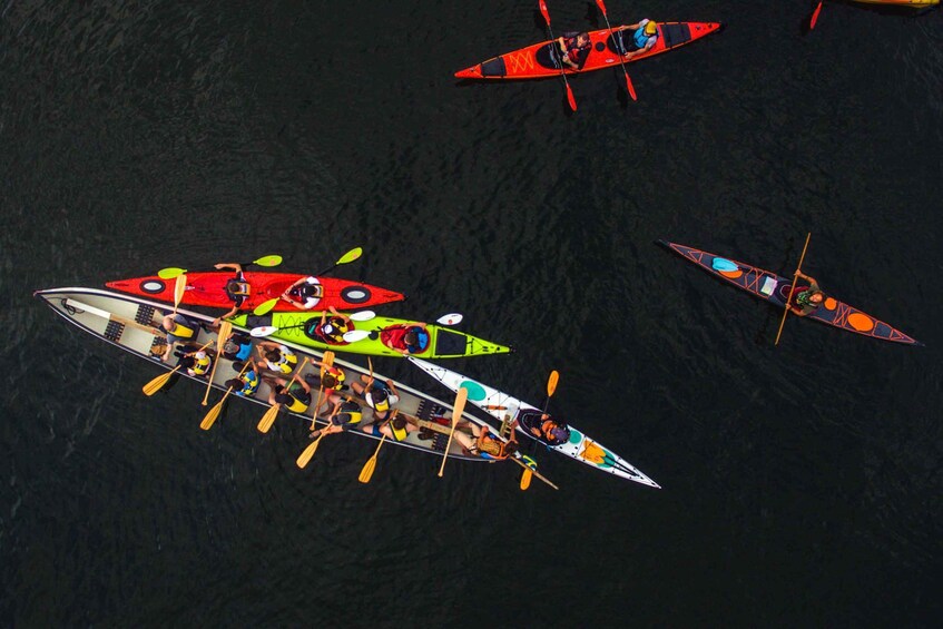 From Vaxholm: Stockholm Archipelago Big Canoe Adventure