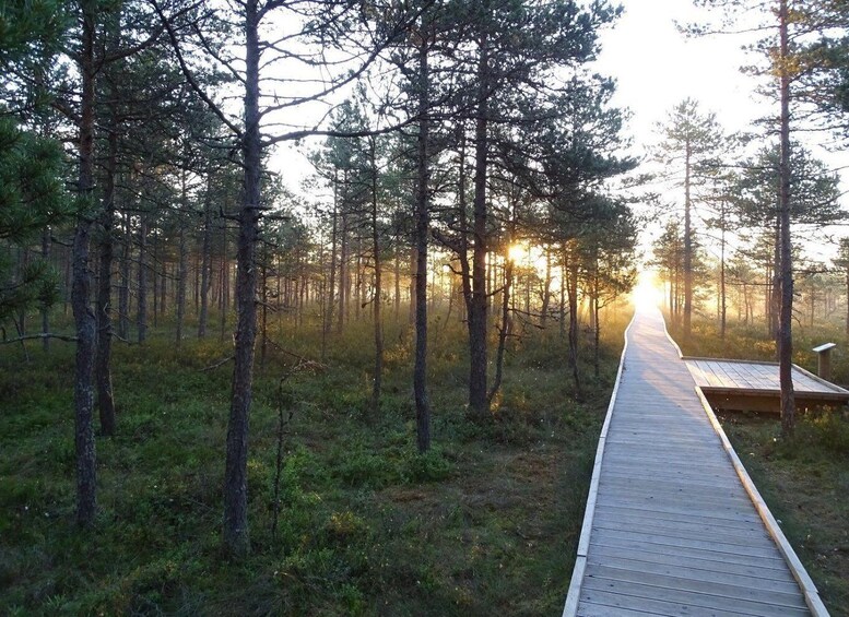 Picture 1 for Activity Enchanted Estonia: A Three-Night Luxe Escape