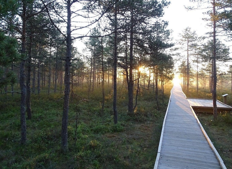 Picture 1 for Activity Enchanted Estonia: A Three-Night Luxe Escape