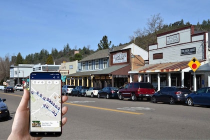 Pies & Pickaxes: A Historic Walking Tour of Julian, CA