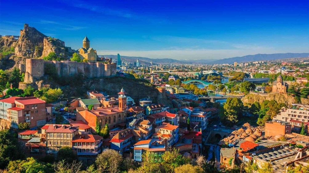 Picture 2 for Activity From Tbilisi: Private Tbilisi City Tour