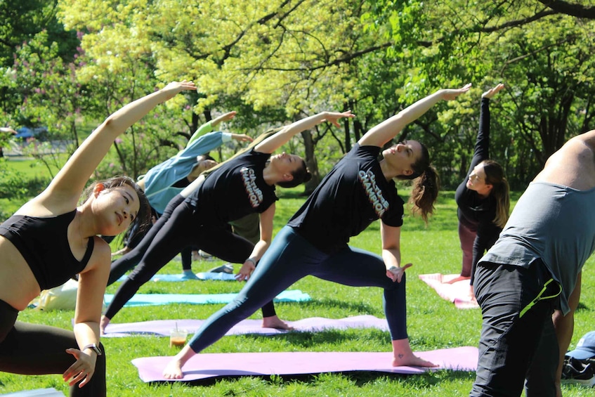 Picture 1 for Activity Central Park: Highest Rated Yoga Class in New York City!