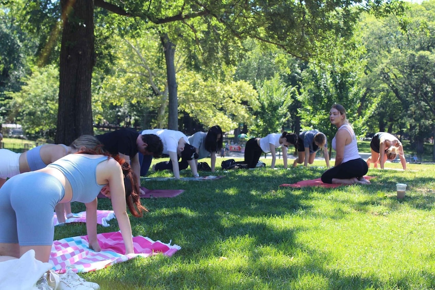 Picture 3 for Activity Central Park: Highest Rated Yoga Class in New York City!